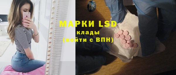 PSILOCYBIN Абаза