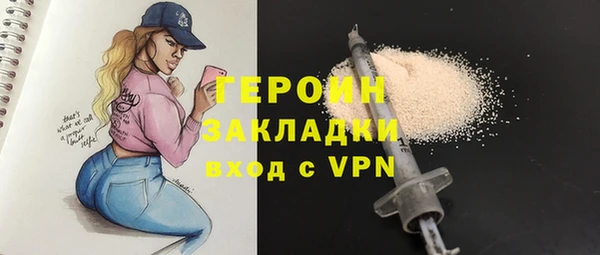 индика Алексин