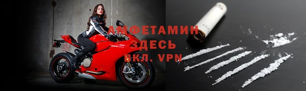 гидра Рославль