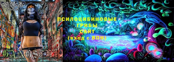 гидра Рославль